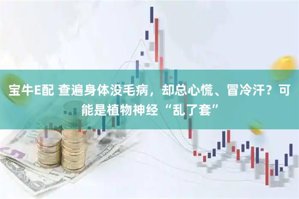 宝牛E配 查遍身体没毛病，却总心慌、冒冷汗？可能是植物神经 “乱了套”