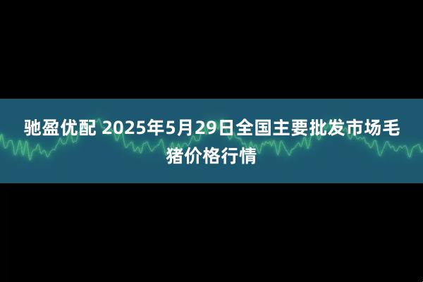 驰盈优配 2025年5月29日全国主要批发市场毛猪价格行情