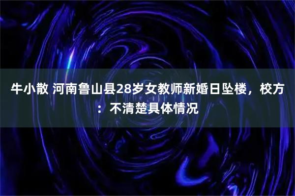 牛小散 河南鲁山县28岁女教师新婚日坠楼，校方：不清楚具体情况