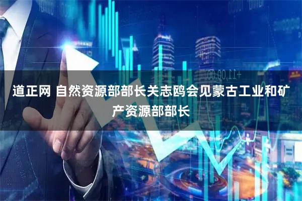 道正网 自然资源部部长关志鸥会见蒙古工业和矿产资源部部长
