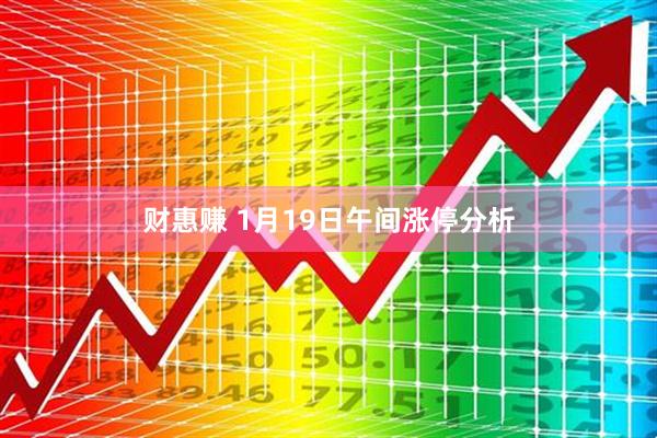 财惠赚 1月19日午间涨停分析